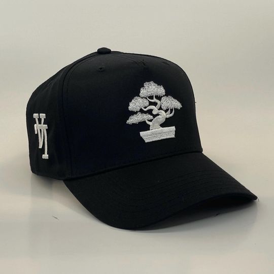 Discover LA Bonsai Tree | Black & White