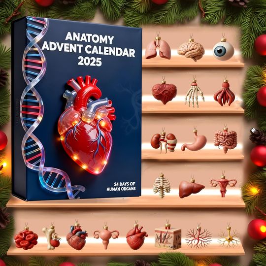 Discover Human Organ Anatomy Advent, Medical Student Countdown Calendar, Science Decor Ornament Set, Doctor Nurse Xmas Gift,  2D Acrylic