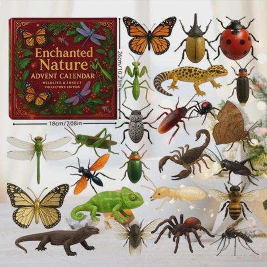 Discover Insect 2D Flat Advent Calendar, 24 Day Christmas Countdown Gift, Bug Toy Collection, Wildlife & Nature Figures, Enchanted Nature Decor