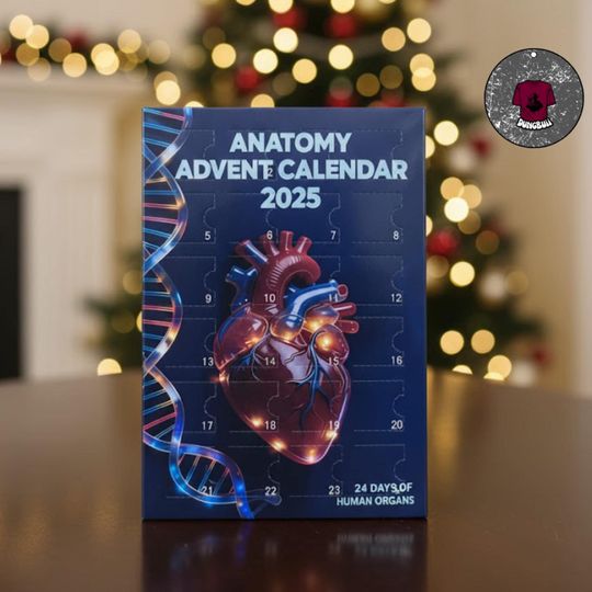 2D acrylic Anatomy Advent Calendar 2025, 24 day of human organs, Anatomy Blind box, Decoration Acrylic Pendant Xmas gift
