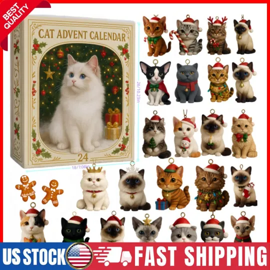 Discover Christmas Advent Calendar 2025 Collectible Funny 2D Cat Blind Box 24 Days Gifts