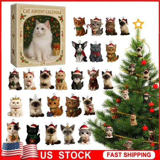 Discover Christmas Advent Calendar 2025 Collectible Funny 2D Cat Blind Box 24 Days Gifts