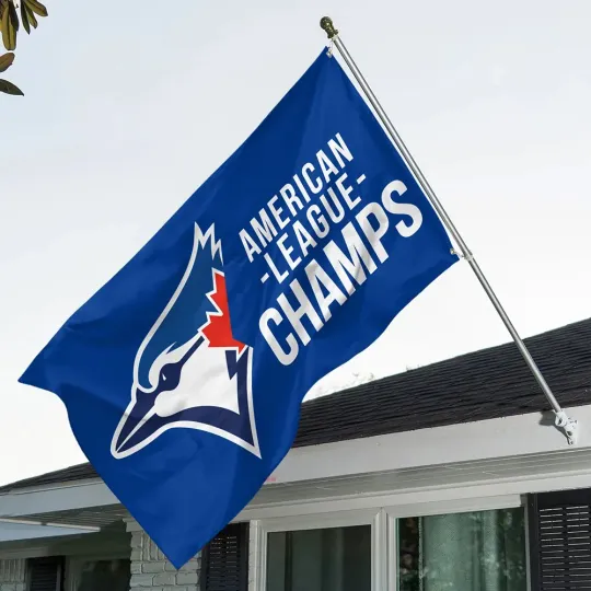 Discover Toront0 Blue Jays 3D Double-side House Flag