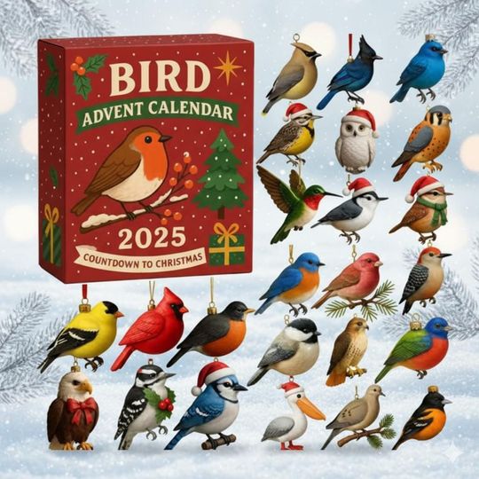 Discover Bird 24 Acrylic Ornaments Advent Calendar 2025, Colorful Songbird Figurine Set, Christmas Countdown Gift