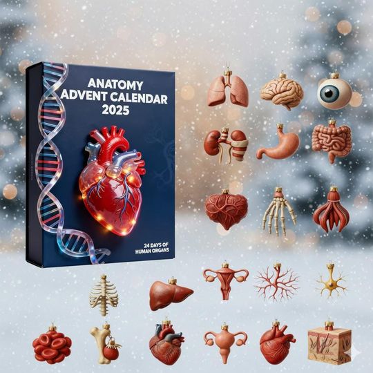 Discover Anatomy Advent Calendar 2025, 2D Flat Acrylic Human Organ Ornaments, Gift for Medical Professionals