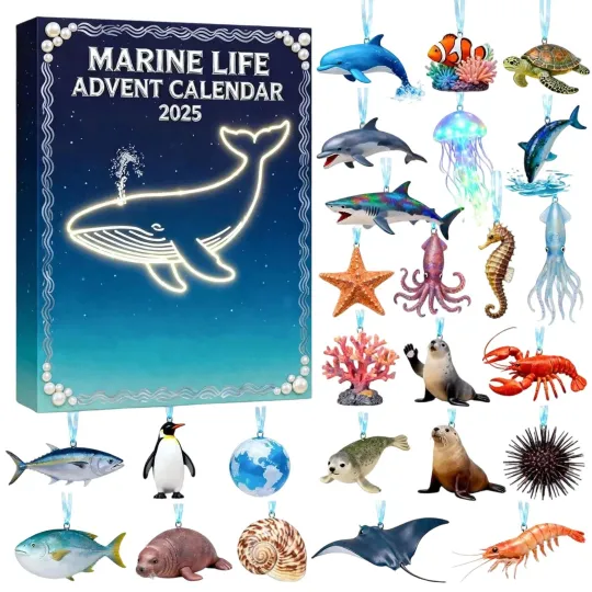Discover Marine Live Advent Calendar, 24 Fantasy Marine Creatures Countdown Calendar