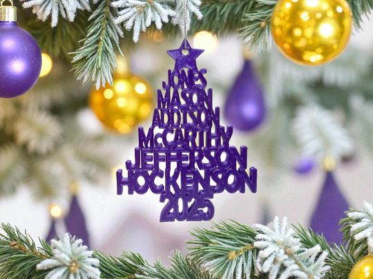 2025 Minnesota Vikings 3D Printed Christmas Tree Ornament