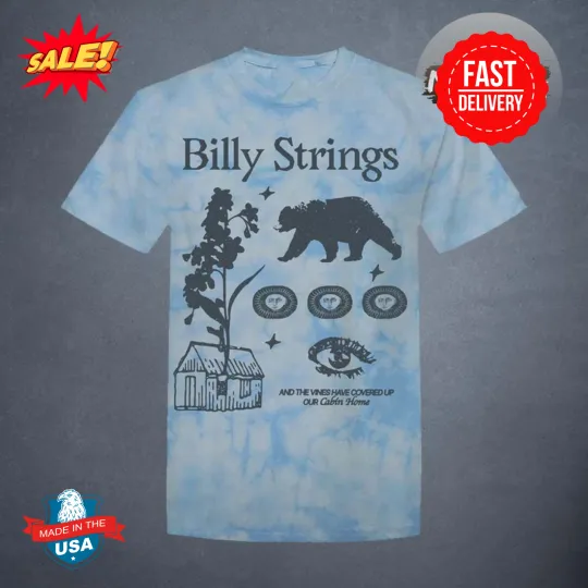 Billy Strings Merch Fall Tour 2025 Cabin 3D Tee, Gift For Fan