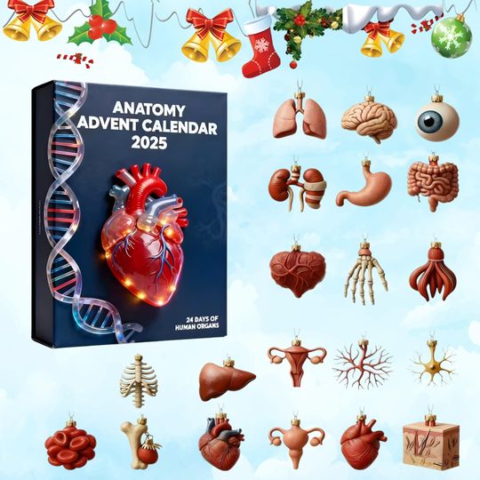 Anatomy Advent Calendar 2025, Anatomy Organ 24 Acrylic Ornaments Set, Human Body Ornament, Gift for Doctors and Med Students 2025