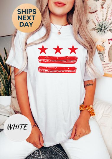 Discover Comfort Colors Graphic Food Shirt, Retro Sub Sandwich Tee, Funny Food Lover Gift, DC Style Sandwich T-Shirt -PH155