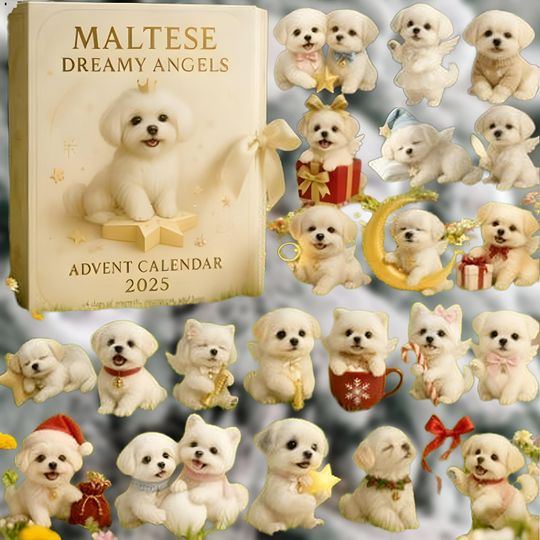 Discover Maltese Advent Calendar 2025, Dreamy Angels Theme, Custom Christmas Countdown Set 2D Acrylic, Gift For Dog Mom, Pet Lovers and Families