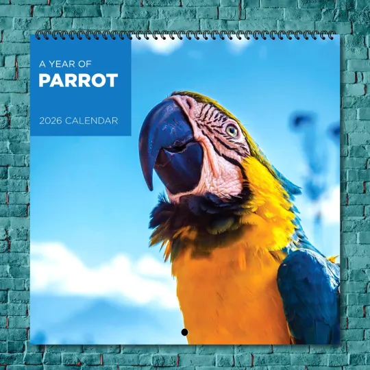 Discover Parrot 2026 Wall Calendar, 12-Month Celebrity Photo Calendar