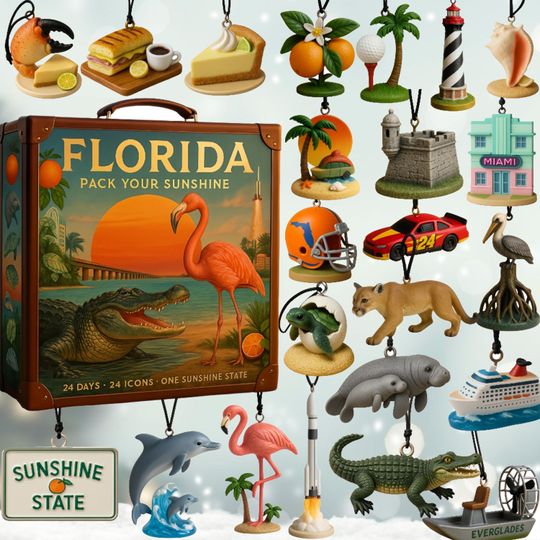 Discover Florida Pack Your Sunshine Advent Calendar 2025, 24 Day Countdown, State Icons Ornaments, Tropical Christmas Gift, Sunshine State Box