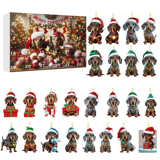 Discover 2025 Dachshund Christmas Advent Calendar, 24 Days Holiday Countdown Calendar Box