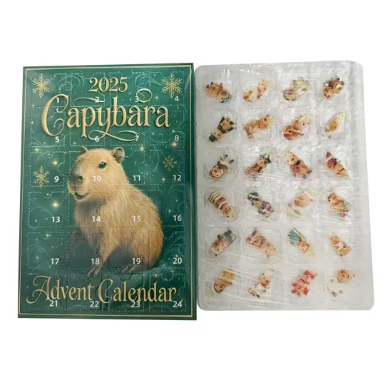 Discover Acrylic Advent Calendar 2025 24 Days Countdown Calendar 2D Capybara Decor