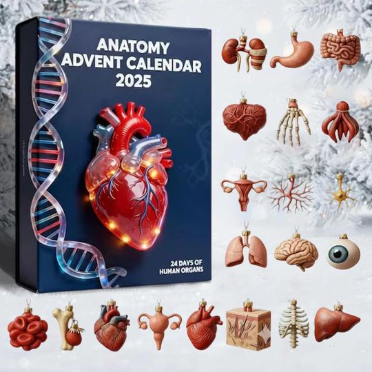 Discover Anatomy Advent Calendar 2025 - Human Organ Decor - Medical Student Gift - Biology Christmas Ornament Set