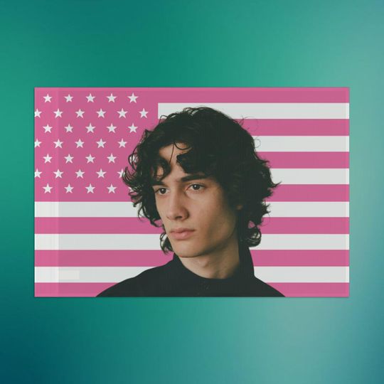 Discover Pink 'SOBER' Flag, Shane Boose, Alt Music Room Decor
