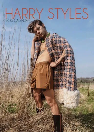 Discover Harry CALENDAR 2025 LARGE A3 SIZE WALL NEW SEALED + FREE UK POSTAGE