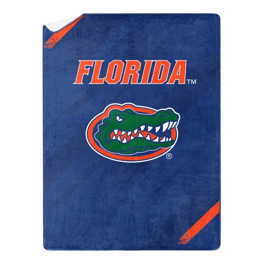 Discover Florida Gators Silk Touch Sherpa Throw Blanket, Gift For Fan, Christmas Gift