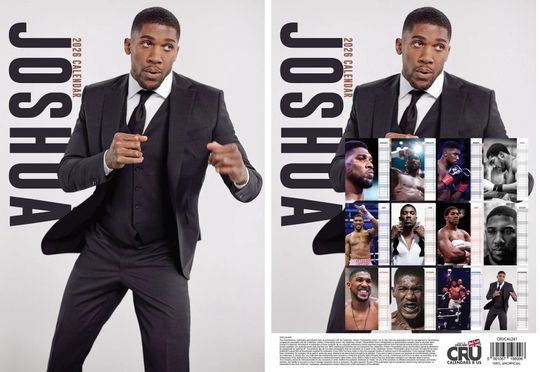 Discover 2026 Joshua Wall Calendar: A3 Size (30x42cm), 12 Months