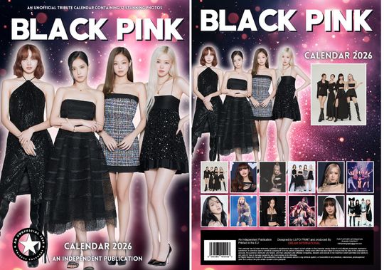 Discover 2026 Black Pink Wall Calendar
