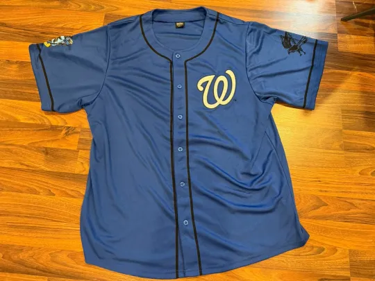 Washington Nationals 2024 Harry Potter Jersey SGA Ravenclaw