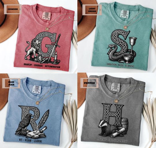 Discover Wizard House Shirt Set, Comfort Colors Magic School Adult and Kid Tees, Wizard School Shirt, Universal Vacation Matching Shirt, Bookish Gift