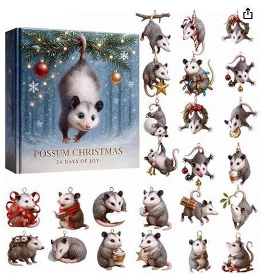 Discover Possum Advent Calendar 2025, Forest Animals Christmas Countdown, Printable Kids Advent