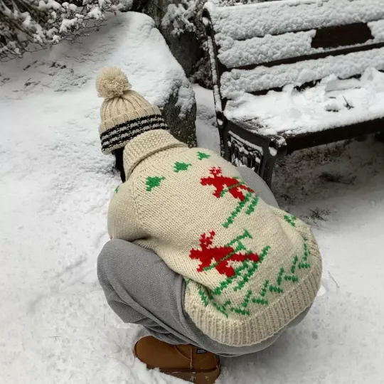 Discover Urbanic30 Korean Designer Christmas New Year Deer Knitted Jacket Zipper Sweater Open Cardigan Autumn Fashion Women's Wear