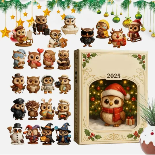Discover 2025 Christmas Owl Acrylic Advent Calendar Decor, 2D Flat Animal Theme Ornament