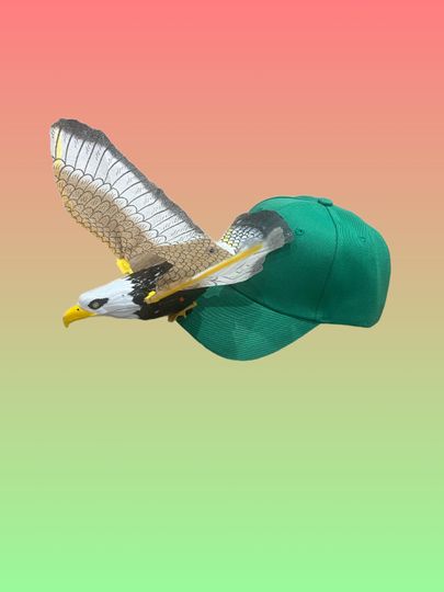 Discover Philadelphia Eagles Flapping Hat