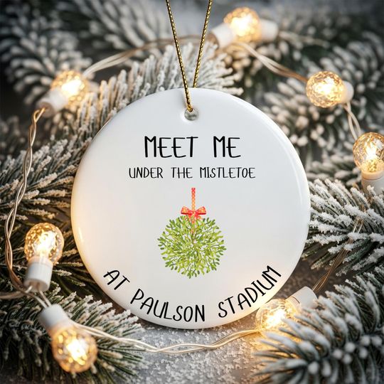 Eagles Fan Stadium Ornament for GSU mistletoe ornament for boyfriend Paulson Stadium Eagles round Christmas ornament for alumni decor