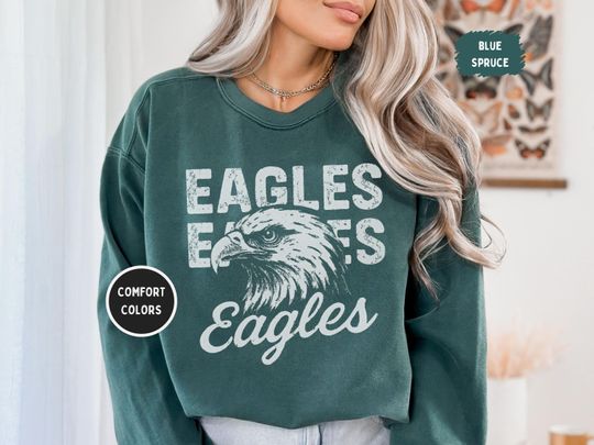 Discover Eagles Mascot Shirt, Comfort Colors 1717, Vintage Distressed Game Day Tee, School Spirit Unisex Graphic, Collegiate Football Top