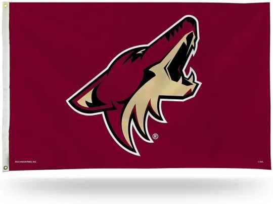 Discover Arizonna Coyotes 3x5 Feet House Flag Banner with Logo, Metal Grommets