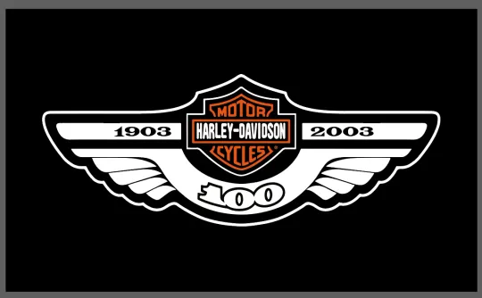 Haarleyy Davidson Motorcycles House Flag 1903-2003