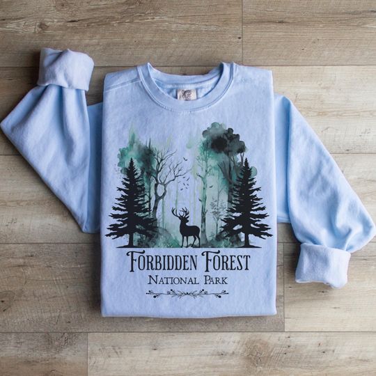 Discover Comfort Colors Wizarding School Forbidden Forest Sweatshirt, HP House, Universal Vacation Sweater, Vintage Forbidden Forest Sweater
