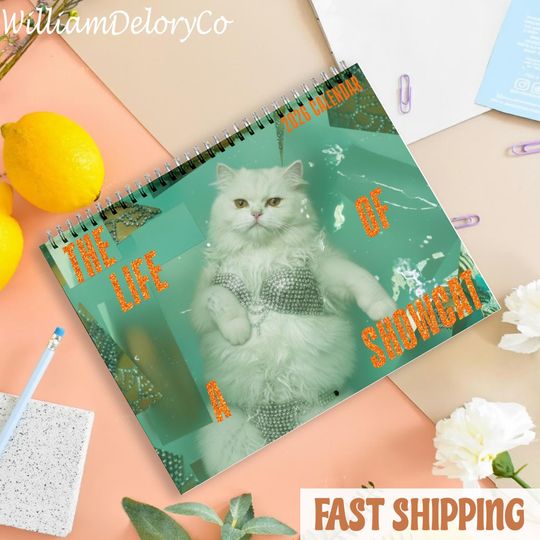 Discover The Life Of A Show Cat 2026 Wall Calendar, Cute Cat Calendar 2026, Cat Mom Calendar, Pretty And Witty Cat Calendar, Christmas Gift