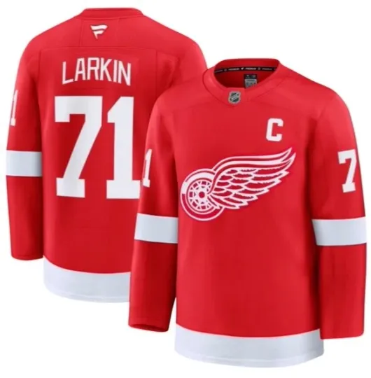 Discover NHL Jersey Detroit Red Wngs (every player and size available) -exemple picture