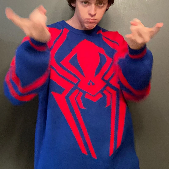 Y2K Gothic  Cotton Plus Size Anime anime Warm Spider Sweater Fashion Hip Hop Rock Clothing for Men and Women