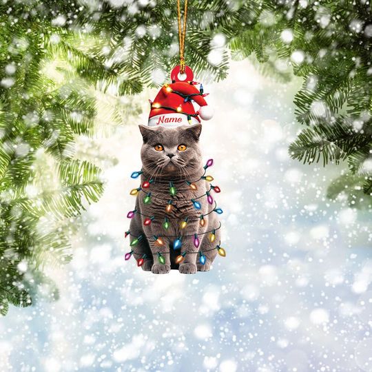 Discover Personalized British Shorthair Cat Ornament, Cat Christmas Hanging Ornament Gift, Cat Car Hanging Ornament, Gift For Pet Lover ID-1002-RY6H