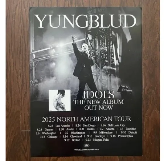 Discover Yungblud Idols The World Tour 2025 Poster