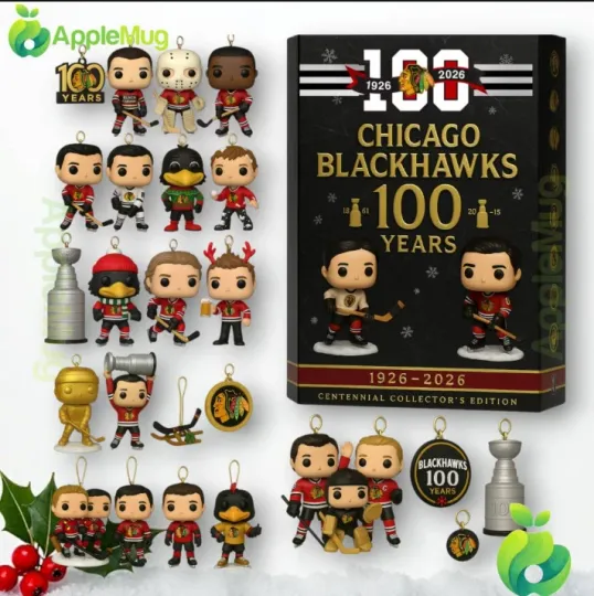 Discover Chicago 100th Anniversary 1926-2026 Advent Calendar 2D, Gift For Christmas