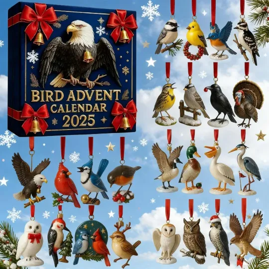 Discover Bird Advent Calendar 2025, 24 Days Christmas Countdown Calendar, Acrylic 2D Bird