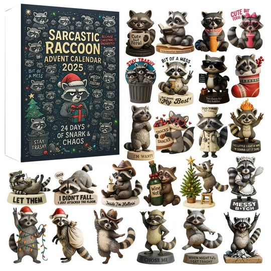 Discover Christmas Advent Calendar 24pc Blind Box Series Flat Airplane Box Sarcastic Raccoon Theme Festive Christmas Countdown Decor
