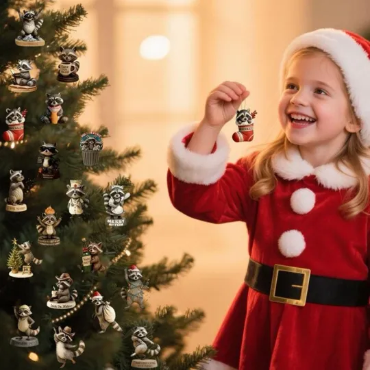 Discover 2D Sarcastic Raccoon Advent Calendar 2025, 24 Days Christmas NE Countdown C1H2