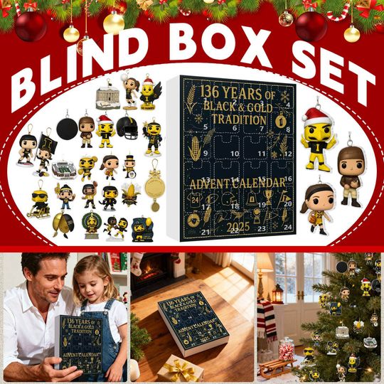 Discover 2D Plane Style Advent Calendar With 24 Acrylic Keychains And Airplane Box, Christmas Countdown Blind Box For Kids Adults