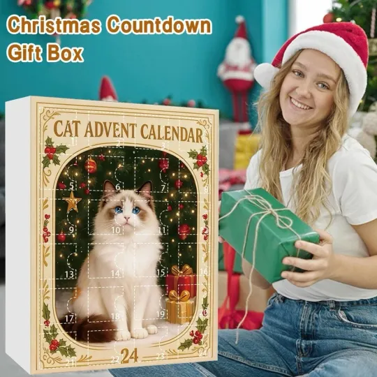 Discover Cat Acrylic Hanging Ornaments 24 Pcs Advent Calendar Blind Box for Holiday Use