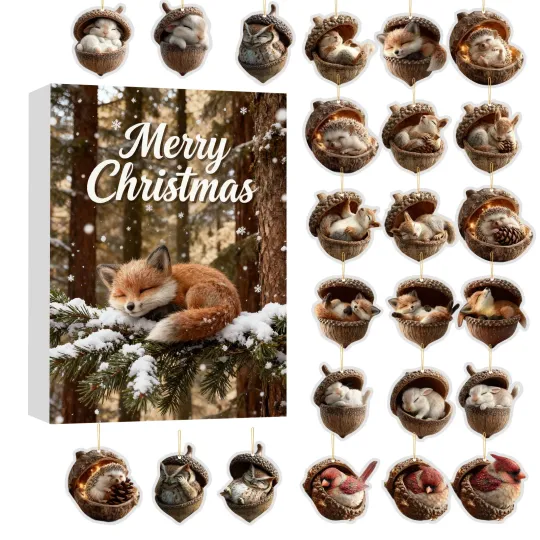 Discover Animals Hibernate in Pinecone Houses Advent Calendar 24 Days 2D Blind Box Gift