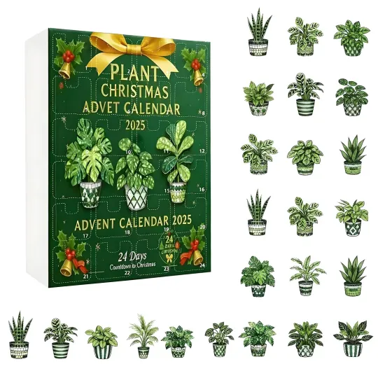 Discover Christmas Countdown Green Plant Advent Calendar 24 Days of Festive 2D Blind Box