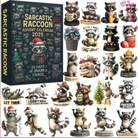 Discover Raccoon 2D Advent Calendar 2025 Gift For Christmas